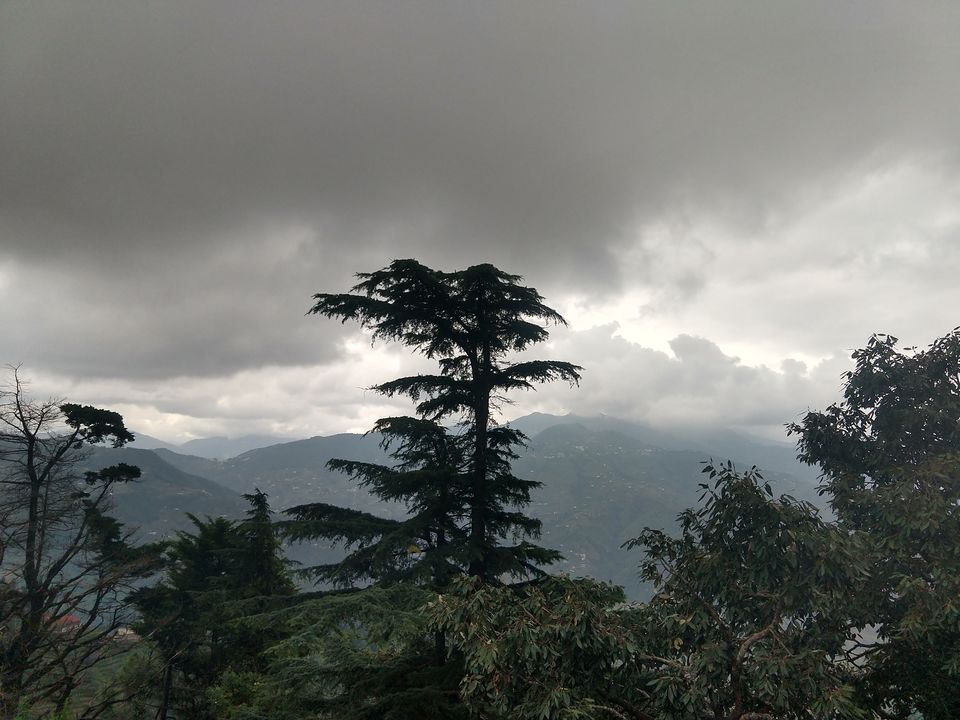 Photo of Exploring the Heavenly Mukteshwar, Solo! by Abhishek Tyagi