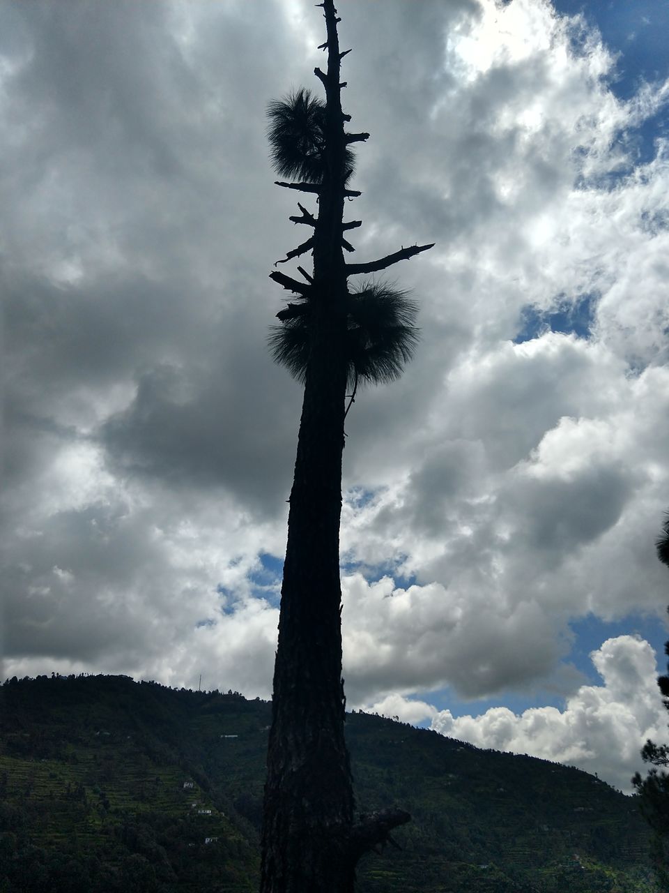 Photo of Exploring the Heavenly Mukteshwar, Solo! by Abhishek Tyagi
