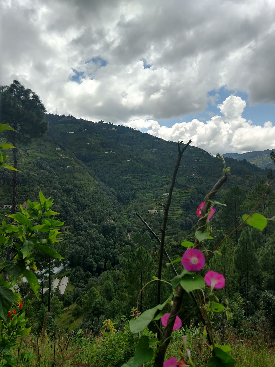 Photo of Exploring the Heavenly Mukteshwar, Solo! by Abhishek Tyagi