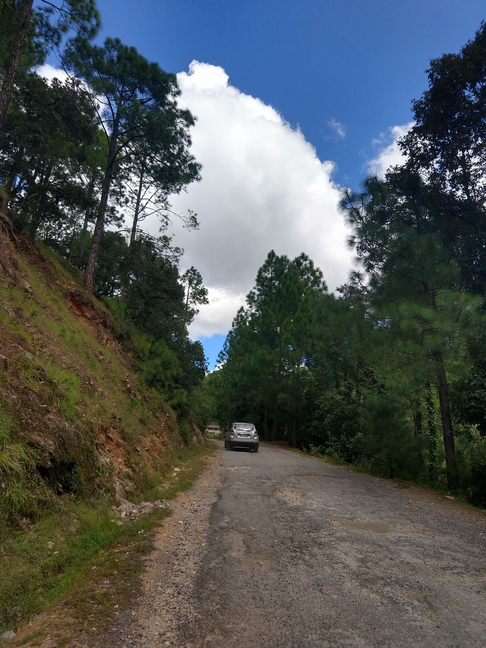 Photo of Exploring the Heavenly Mukteshwar, Solo! by Abhishek Tyagi