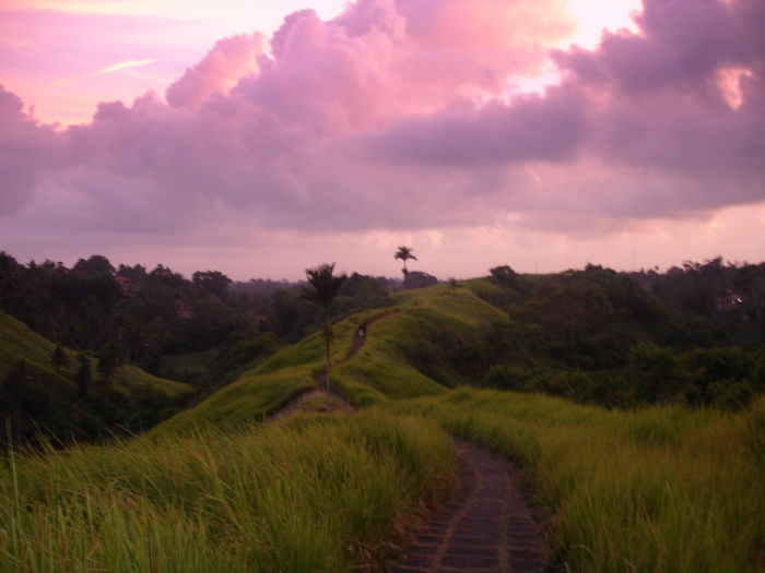 Photo of Campuhan Ridge, Bali by Rachel