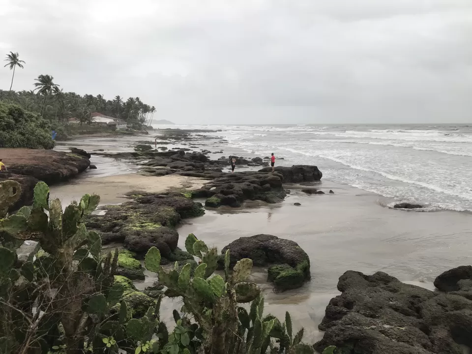 Photo of Ashwem Beach, Mandrem, Goa by Neha Gupta