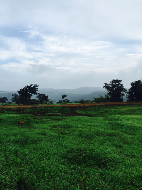 Photo of Enroute Bhimashankar 4/11 by Shradha