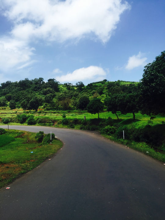 Photo of Enroute Bhimashankar 7/11 by Shradha