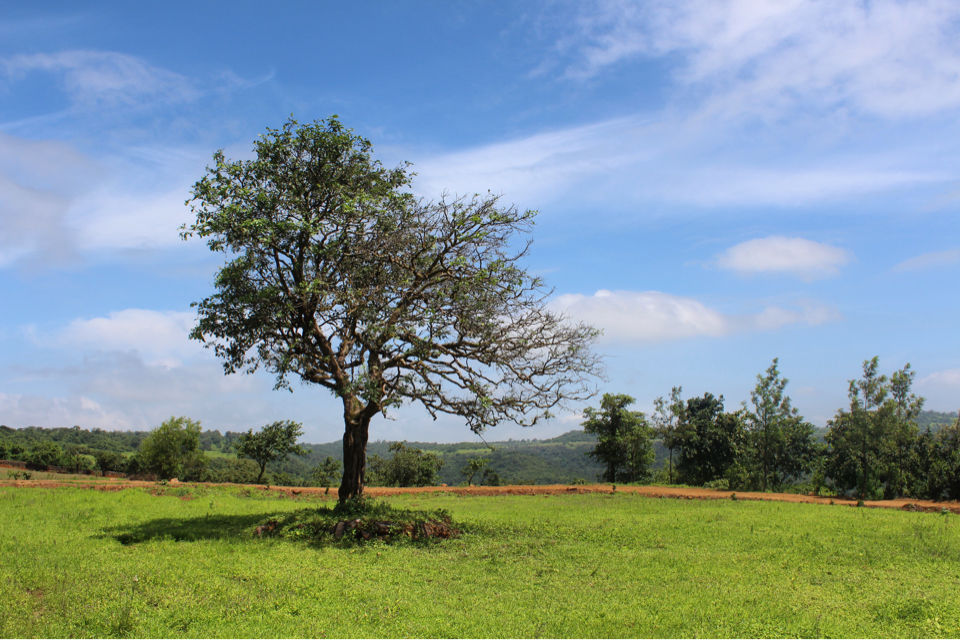 Photo of Enroute Bhimashankar 10/11 by Shradha