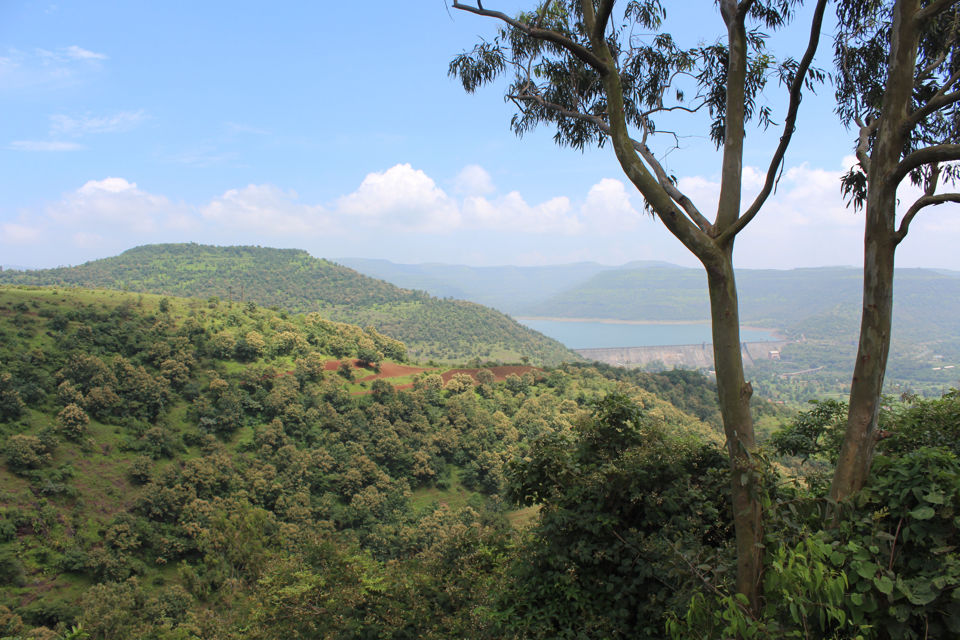 Photo of Enroute Bhimashankar 11/11 by Shradha