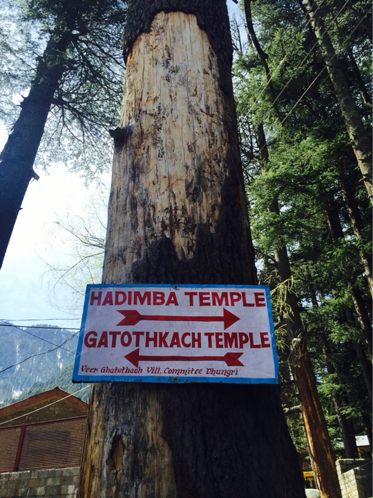 Photo of Manali Mix 6/15 by Shradha