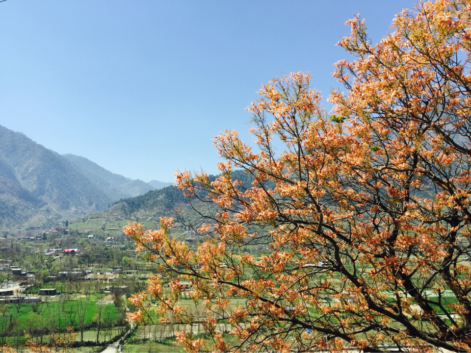 Photo of Manali Mix 11/15 by Shradha