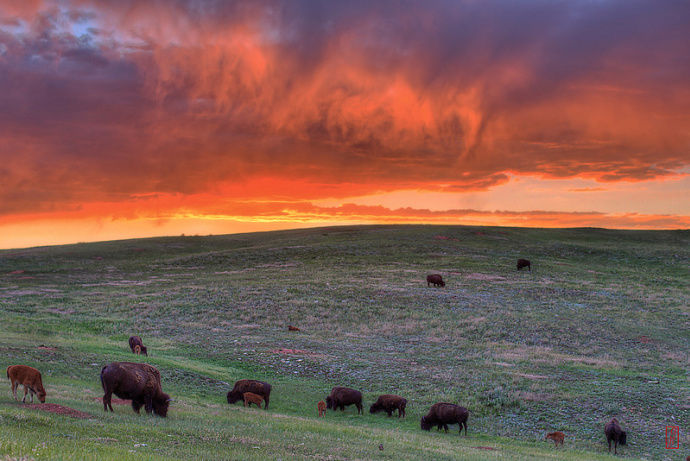 Photo of Wind Cave National Park, Hot Springs, South Dakota, United States by Valerie Fidan