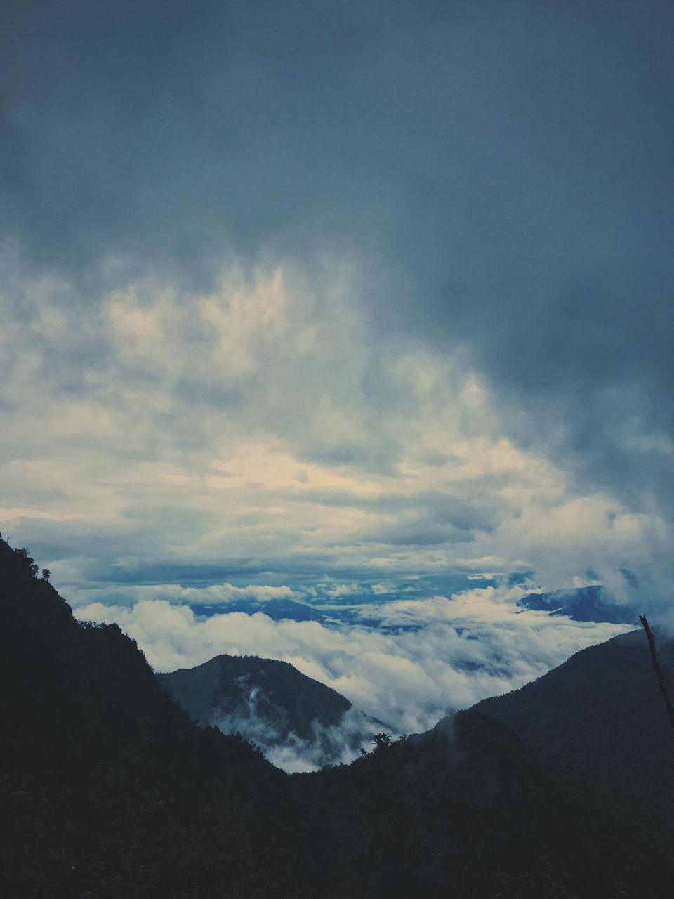 Photo of Dzükou Valley, Nagaland, India by Gokul Saikia
