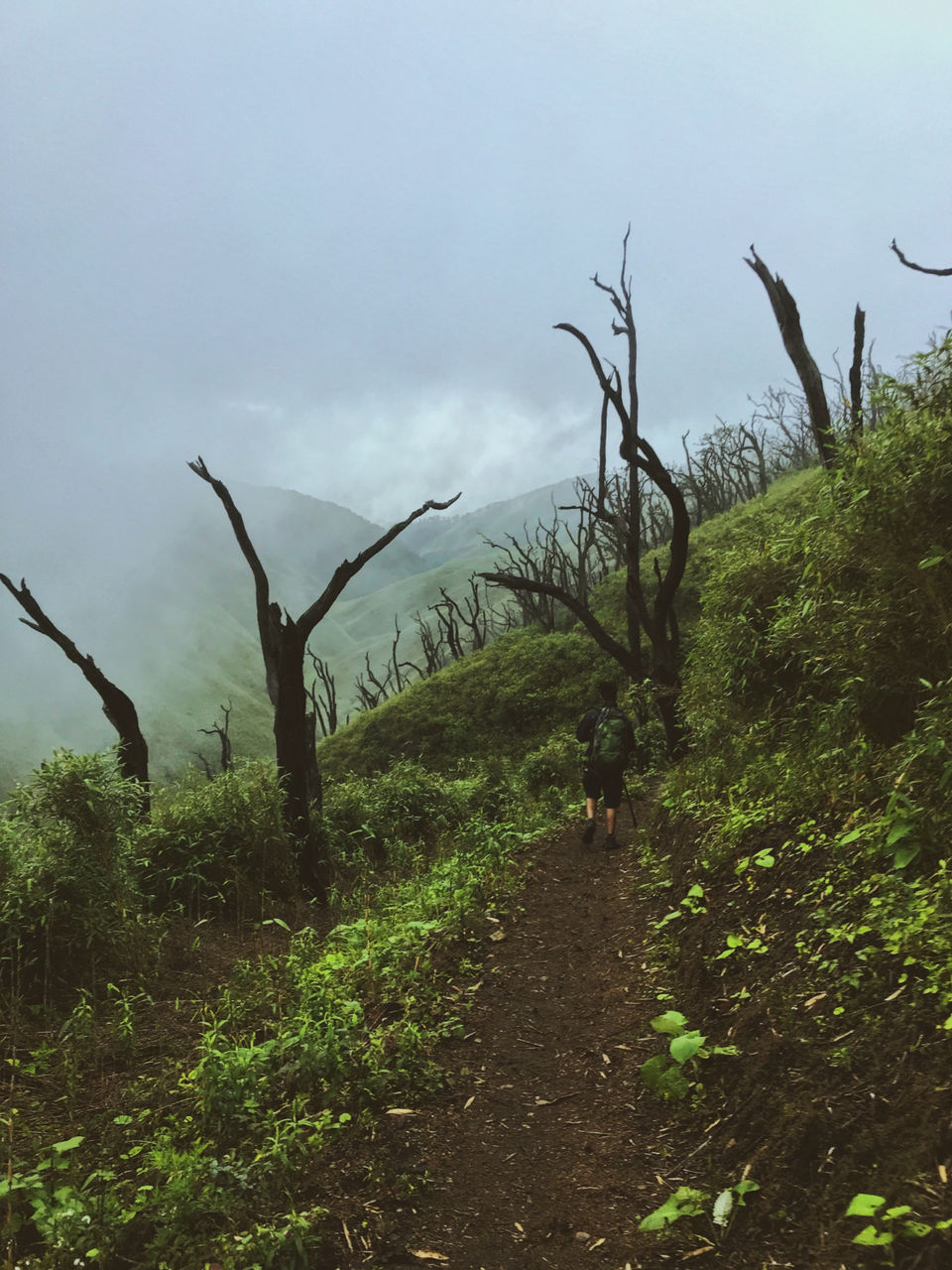 Photo of Dzükou Valley, Nagaland, India by Gokul Saikia