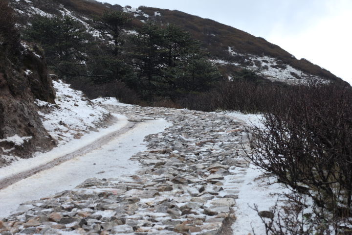 Photo of Making it back to Sandakphu from Phalut in almost a single piece by pallavi addy