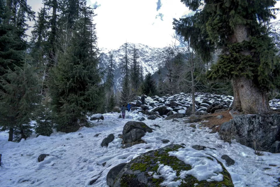 Photo of Amazing Trip to Manali by Guchhi Sharma