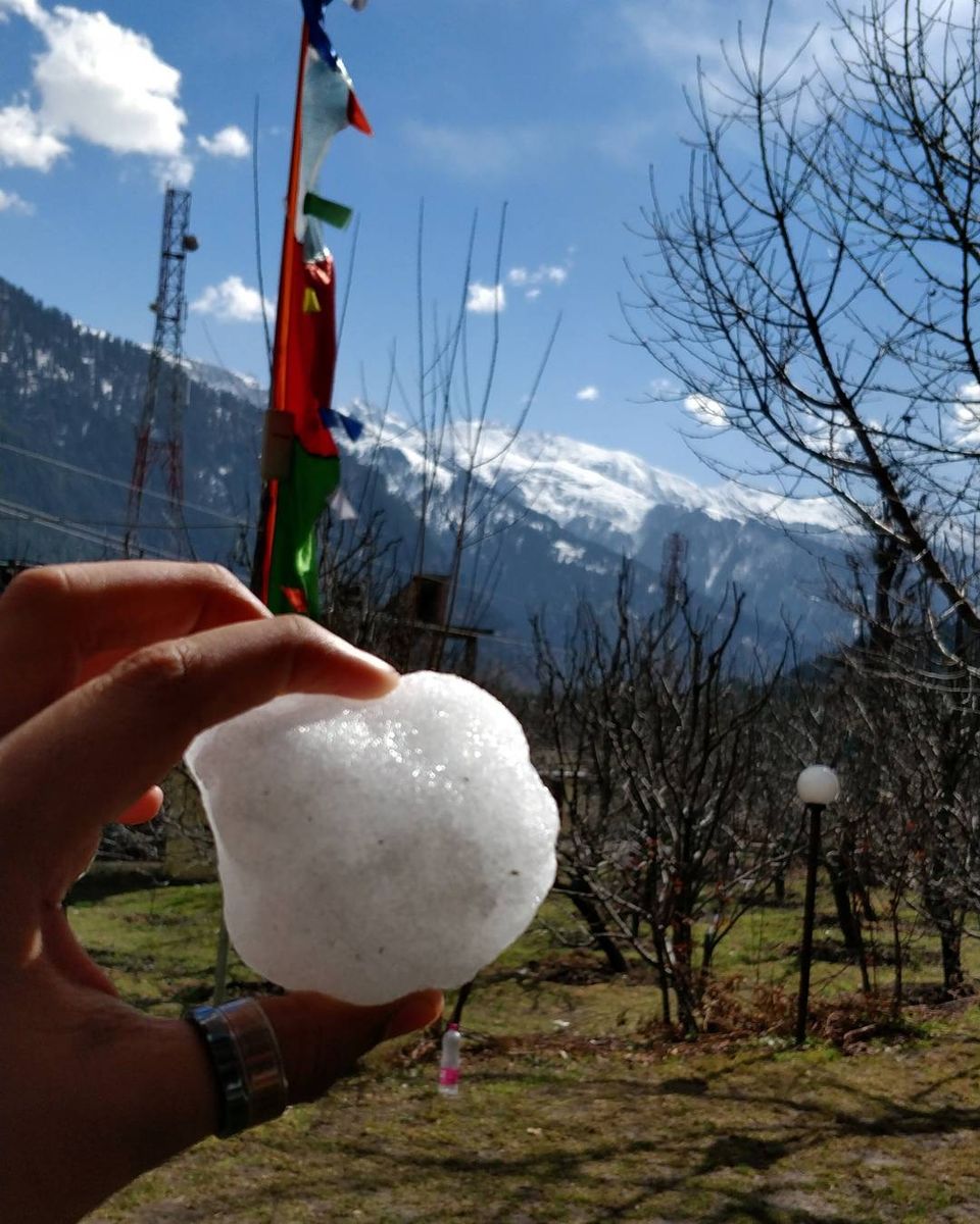 Photo of Amazing Trip to Manali by Guchhi Sharma