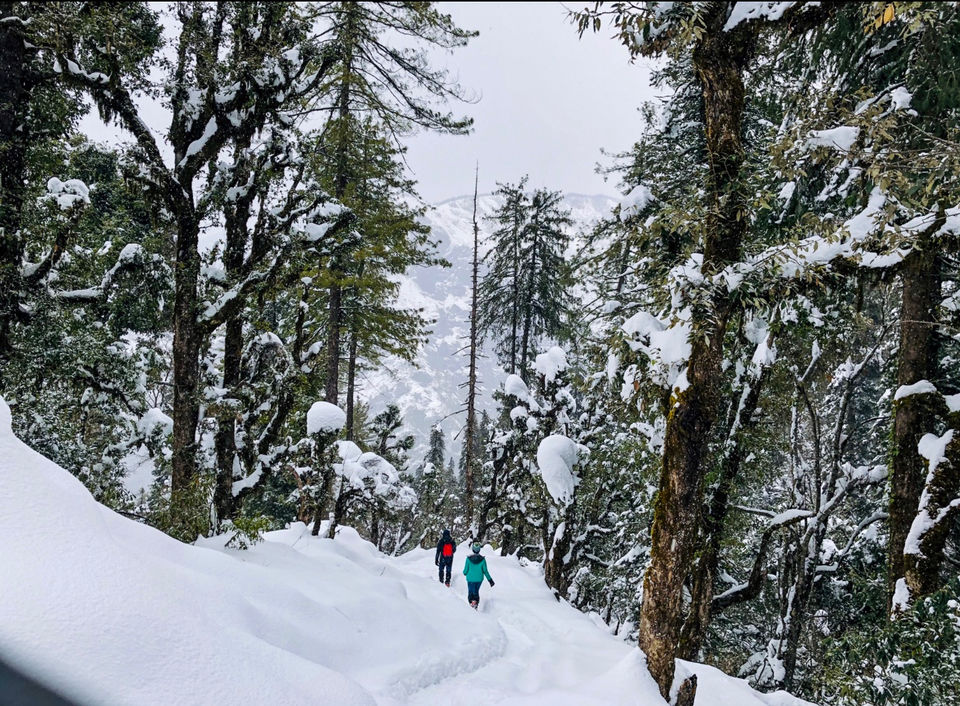 Photo of Sankri, Uttarakhand, India by Pragya