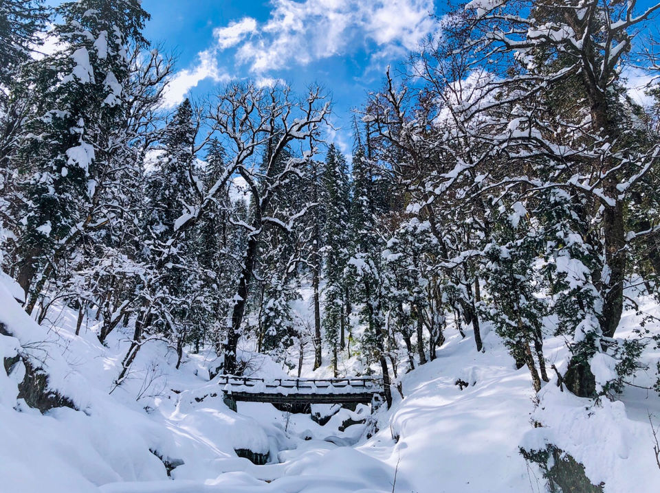 Photo of Sankri, Uttarakhand, India by Pragya