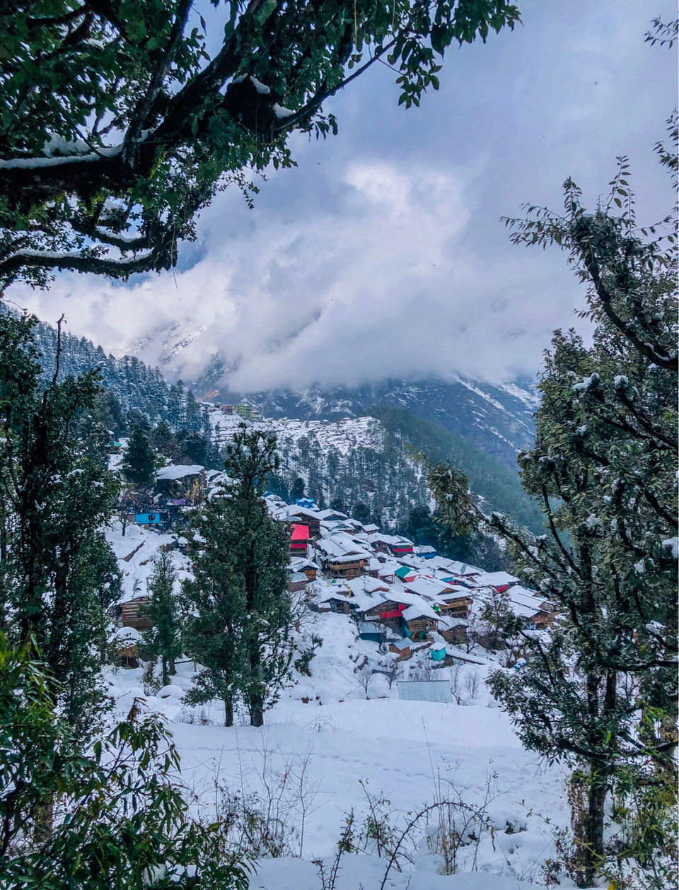 Photo of Sankri, Uttarakhand, India by Pragya