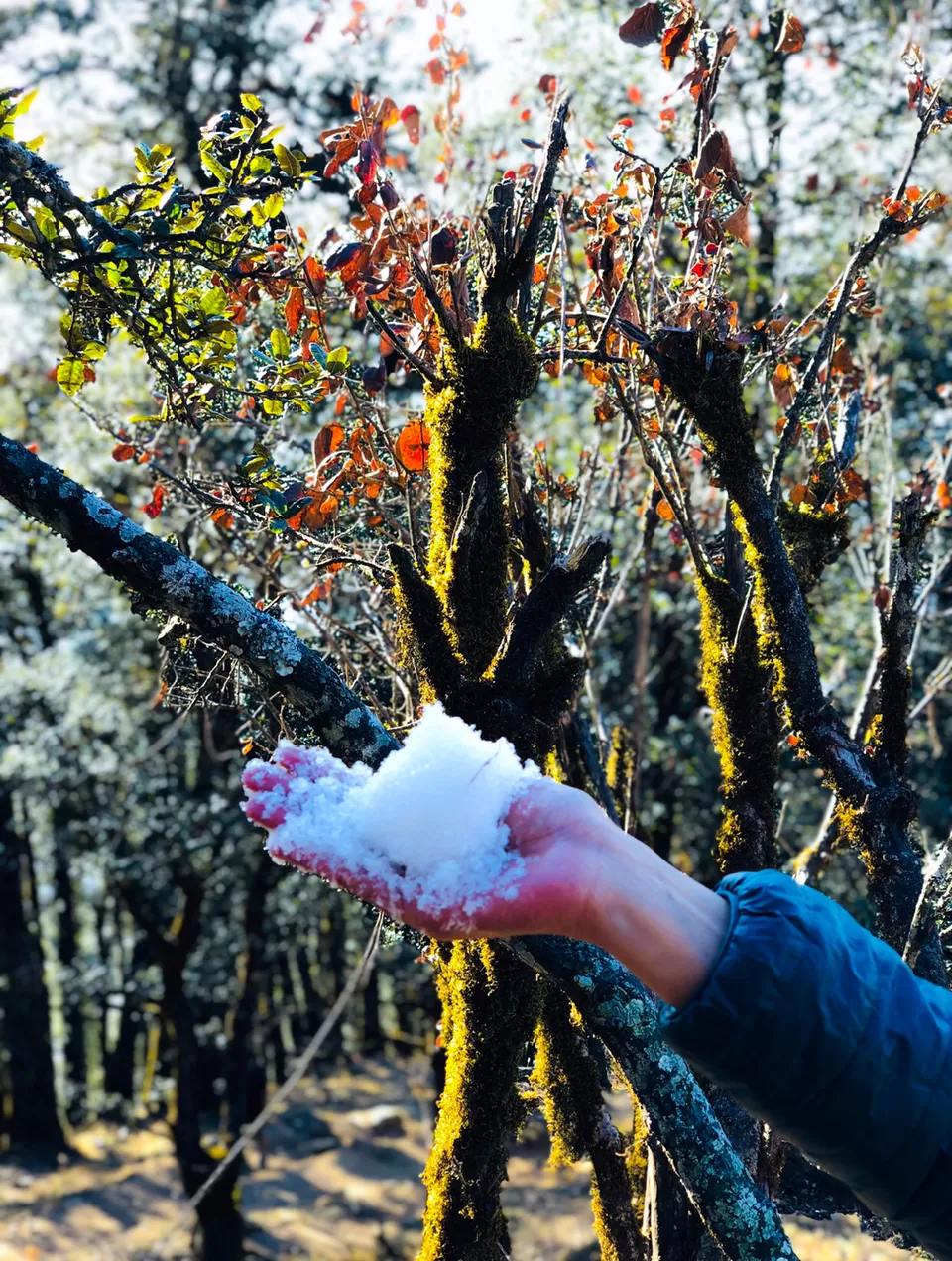Photo of Land Of Beautiful Sunsets: Nag Tibba Trek by Pragya
