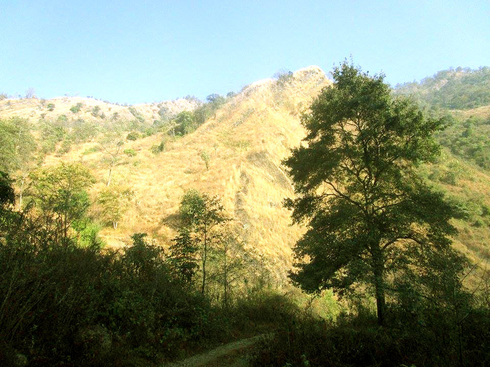 Photo of Dzukou Valley Trek, Nagaland 6/21 by Dipmoina Dowarah