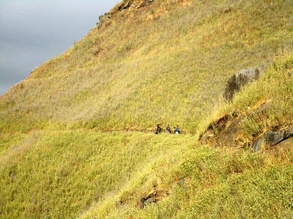 Photo of Dzukou Valley Trek, Nagaland 8/21 by Dipmoina Dowarah