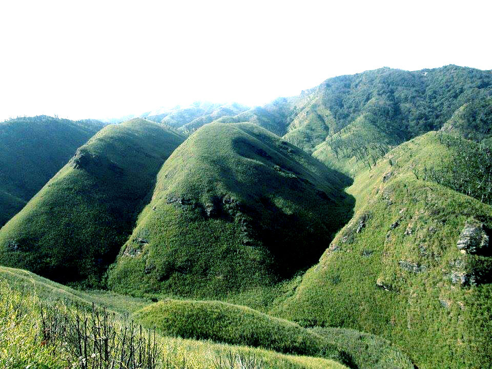 Photo of Dzukou Valley Trek, Nagaland 14/21 by Dipmoina Dowarah