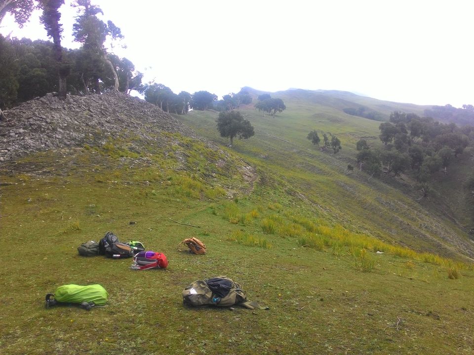 Photo of 16 things I have learned from my Adventure Assignments 2/2 by Dipmoina Dowarah