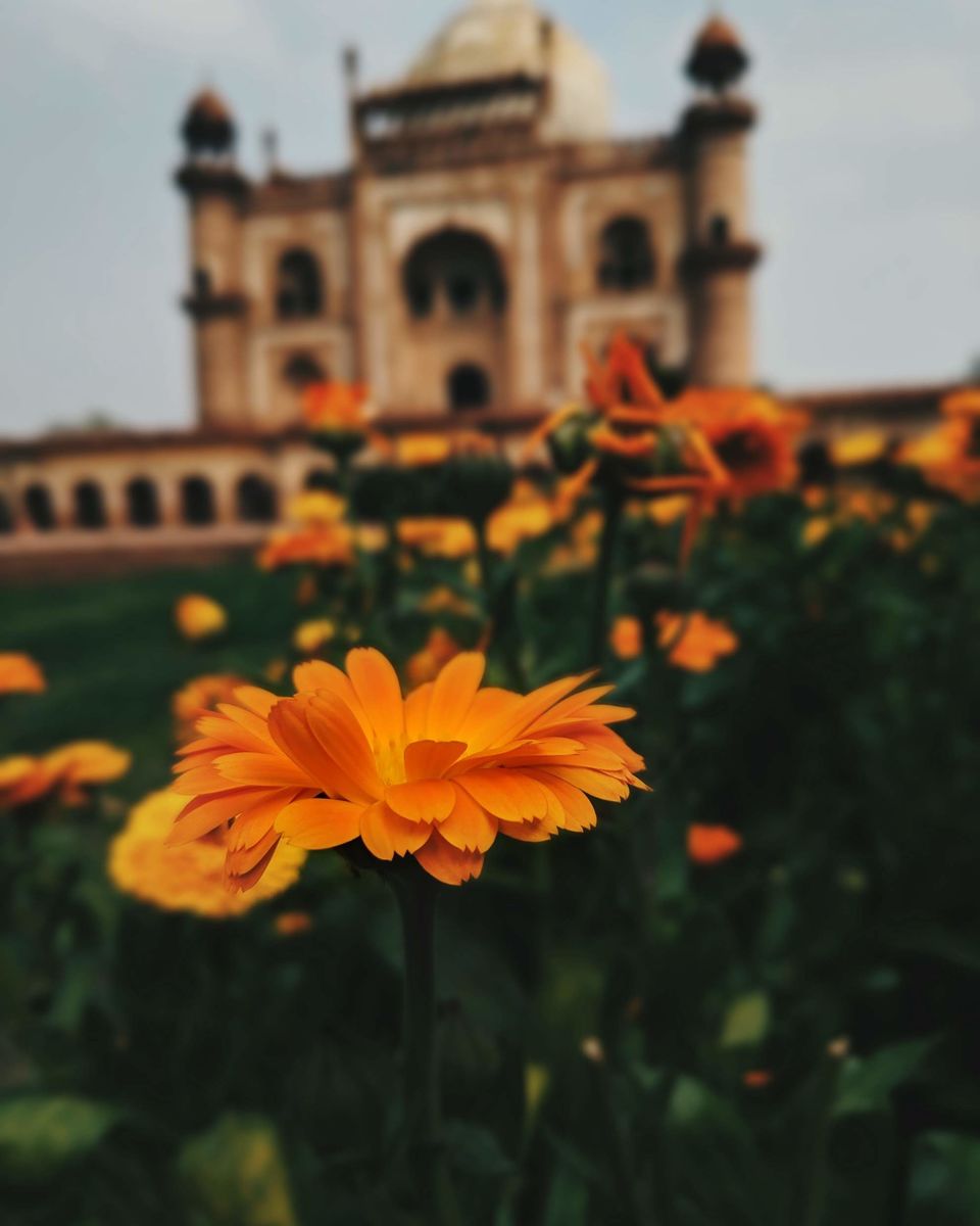 Photo of Safdarjung Tomb, Airforce Golf Course, Delhi Race Club, New Delhi, Delhi, India by Sangeet Rao