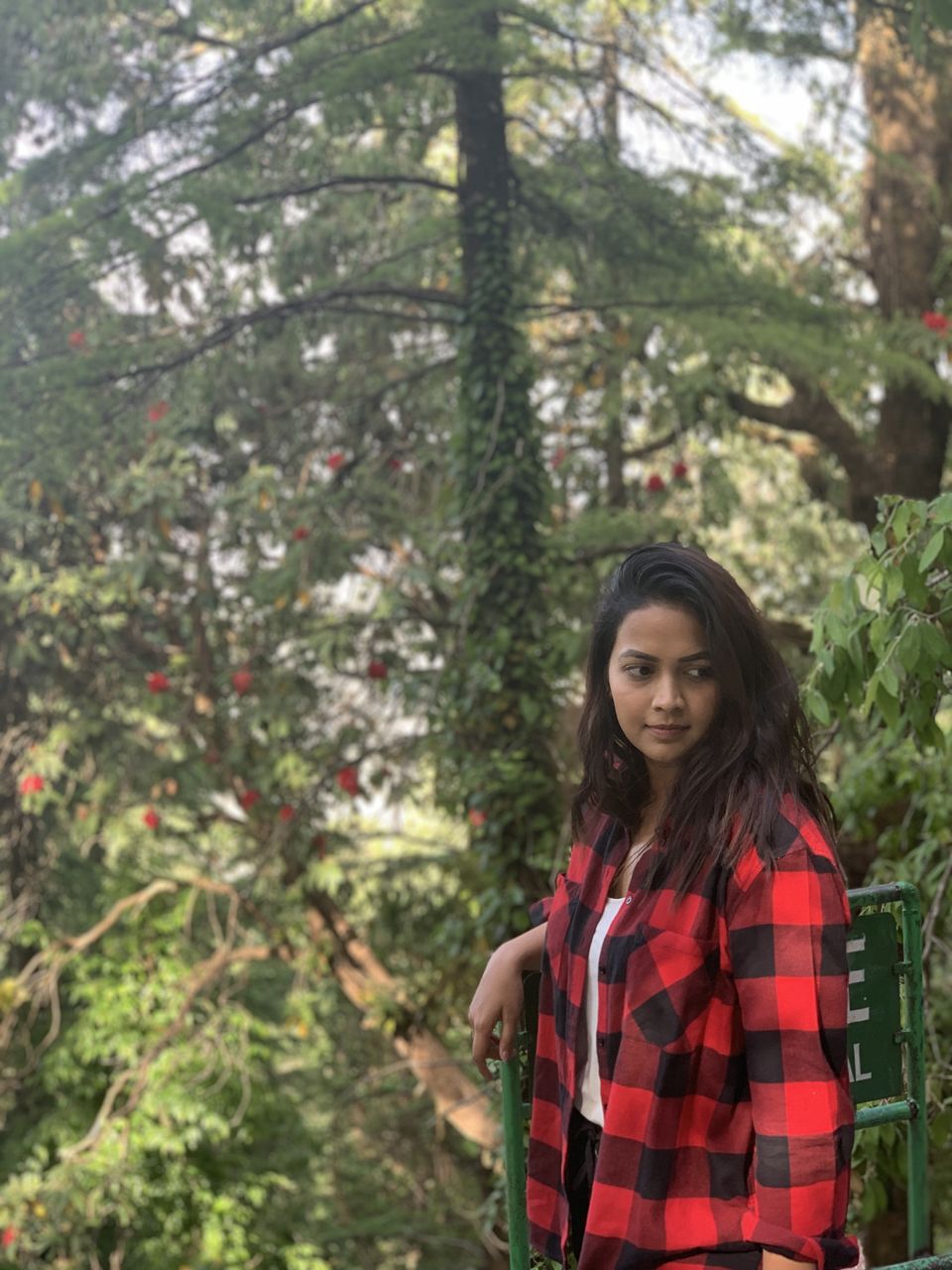 Photo of Jabarkhet Nature Reserve, Mussorie, Dehradun, Uttarakhand, India by Sweta Gupta