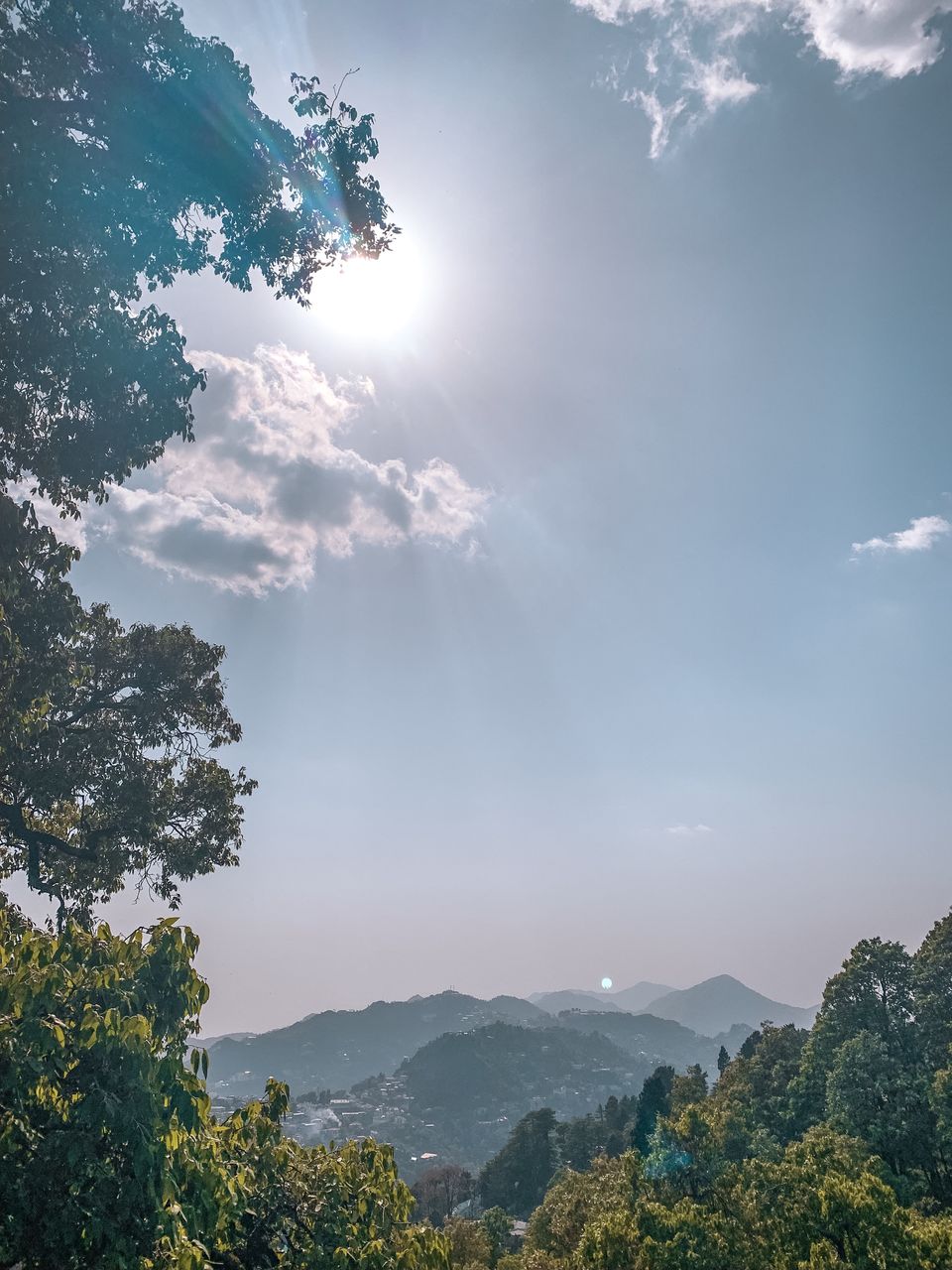 Photo of Jabarkhet Nature Reserve, Mussorie, Dehradun, Uttarakhand, India by Sweta Gupta