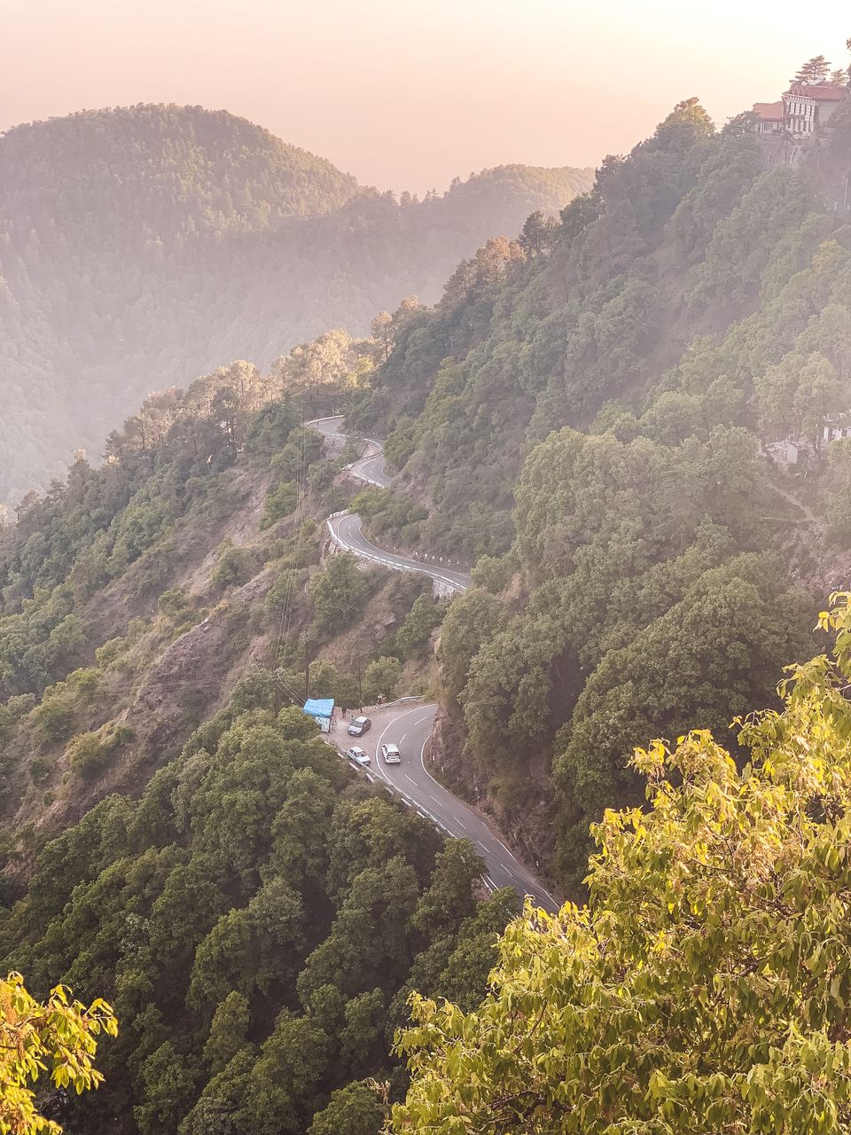 Photo of Jabarkhet Nature Reserve, Mussorie, Dehradun, Uttarakhand, India by Sweta Gupta