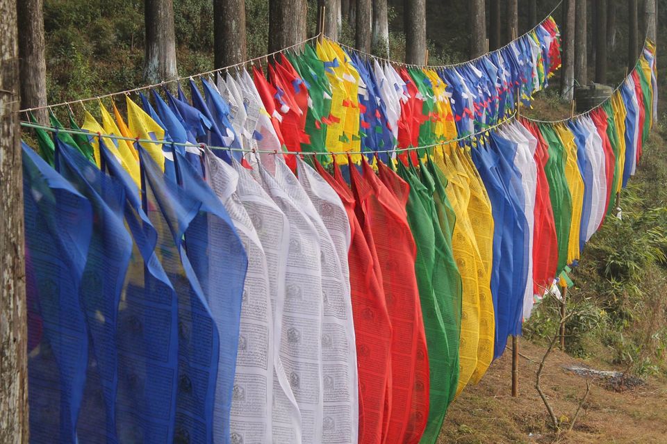 Photo of Silky Serene SIKKIM - Experiential Trip to Eastern Himalayas 6/6 by Trippin'with Sarathy
