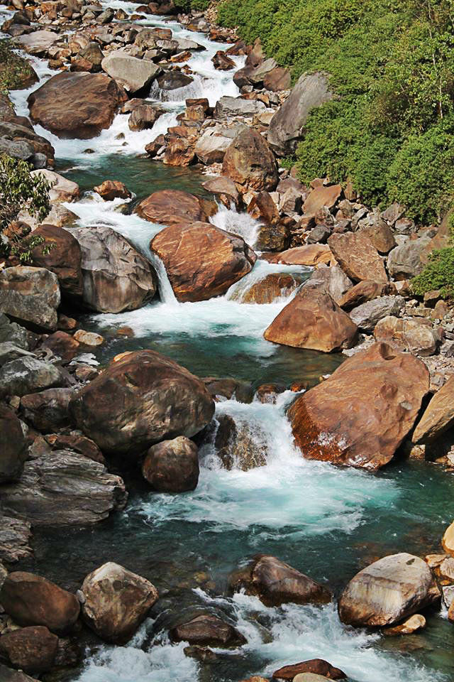 Photo of Escape to Mystical West Sikkim (4 Nights / 5 Days) 3/8 by Trippin'with Sarathy