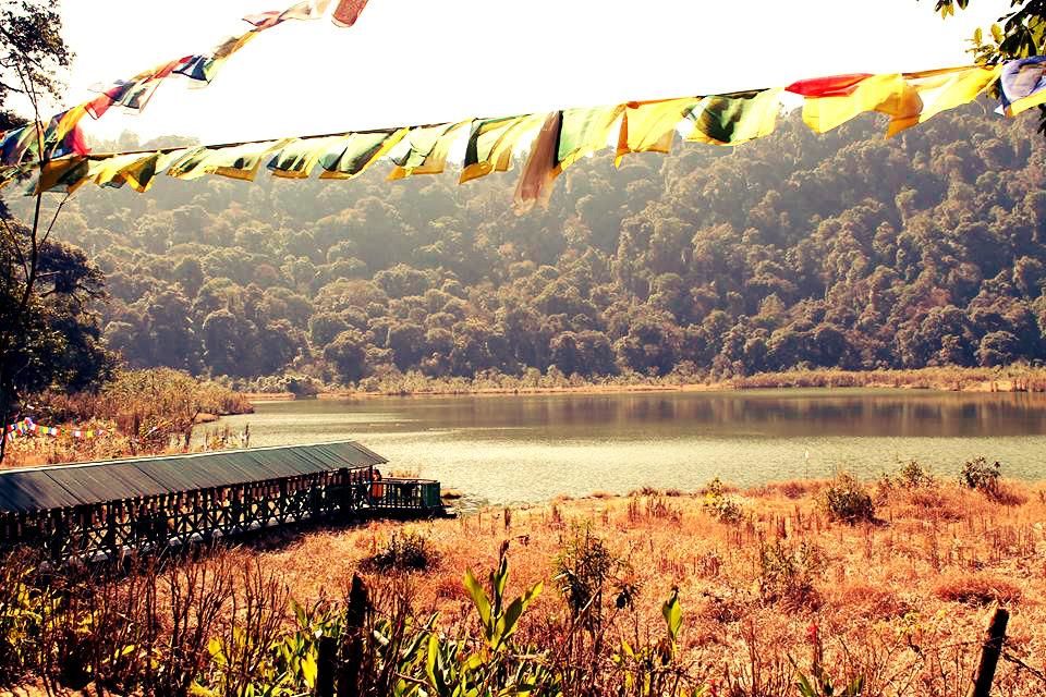 Photo of Escape to Mystical West Sikkim (4 Nights / 5 Days) 4/8 by Trippin'with Sarathy