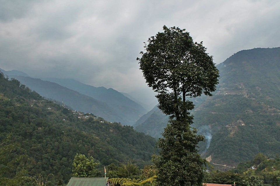 Photo of Escape to Mystical West Sikkim (4 Nights / 5 Days) 8/8 by Trippin'with Sarathy