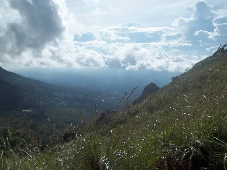 Photo of An Adventure of a Lifetime: Explore the Nilgiris with Local Tribes 2/19 by Trippin'with Sarathy