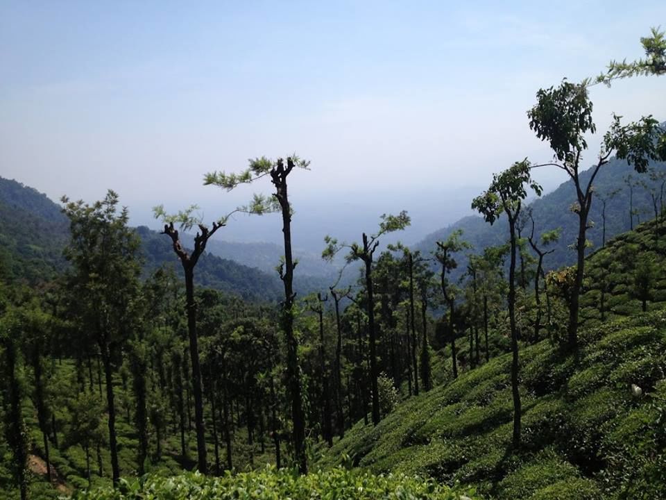 Photo of An Adventure of a Lifetime: Explore the Nilgiris with Local Tribes 4/19 by Trippin'with Sarathy