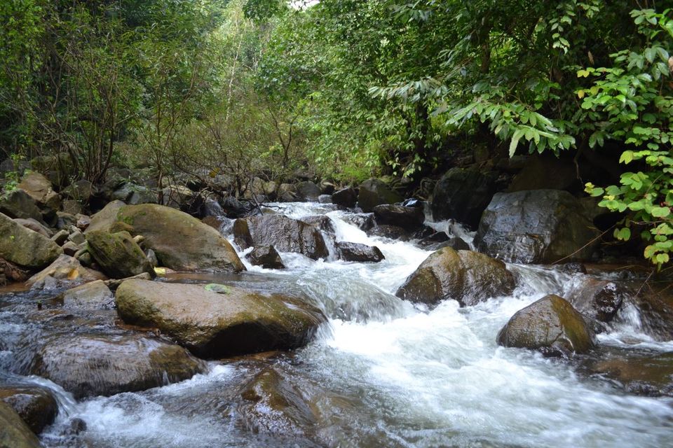 Photo of An Adventure of a Lifetime: Explore the Nilgiris with Local Tribes 10/19 by Trippin'with Sarathy