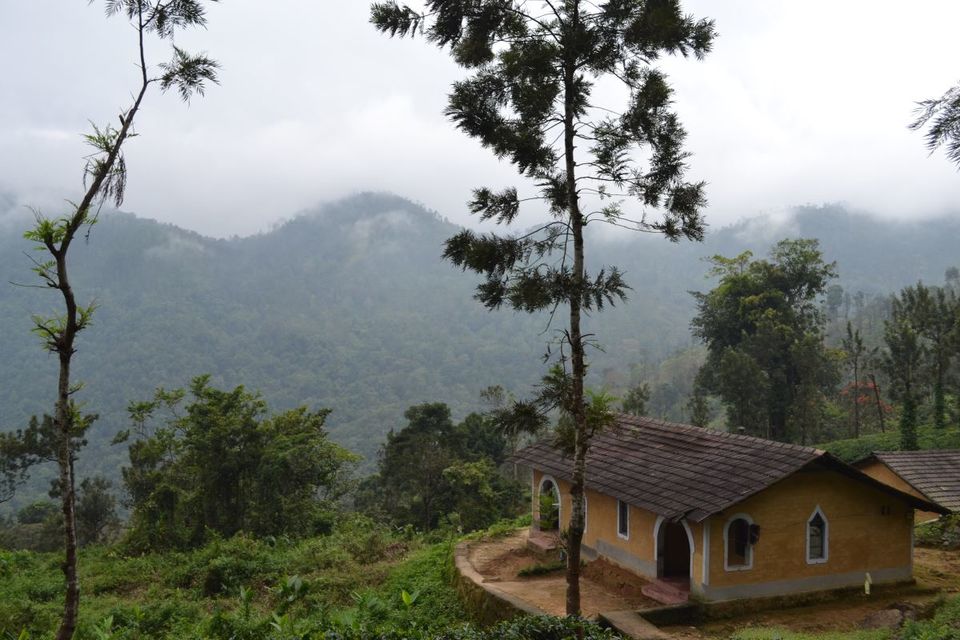 Photo of An Adventure of a Lifetime: Explore the Nilgiris with Local Tribes 11/19 by Trippin'with Sarathy