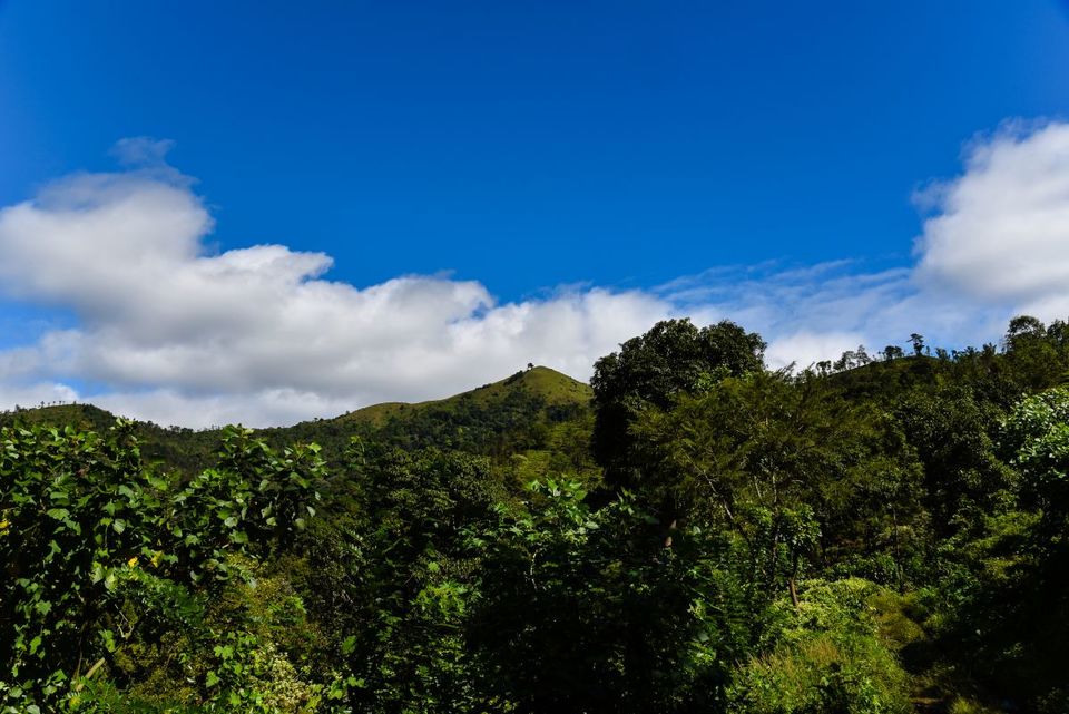Photo of An Adventure of a Lifetime: Explore the Nilgiris with Local Tribes 13/19 by Trippin'with Sarathy