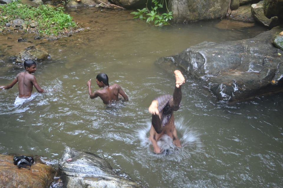 Photo of An Adventure of a Lifetime: Explore the Nilgiris with Local Tribes 16/19 by Trippin'with Sarathy