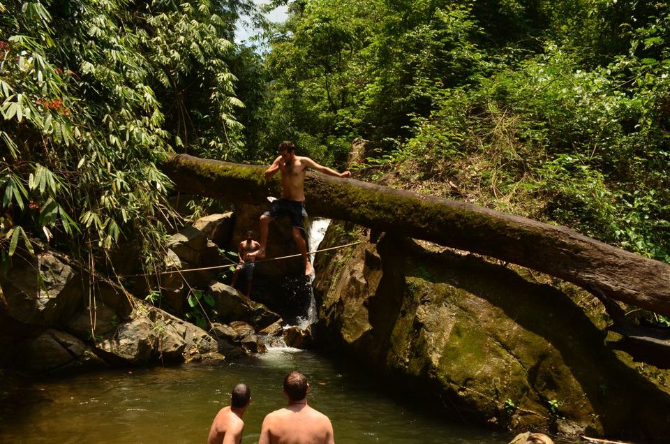 Photo of An Adventure of a Lifetime: Explore the Nilgiris with Local Tribes 18/19 by Trippin'with Sarathy