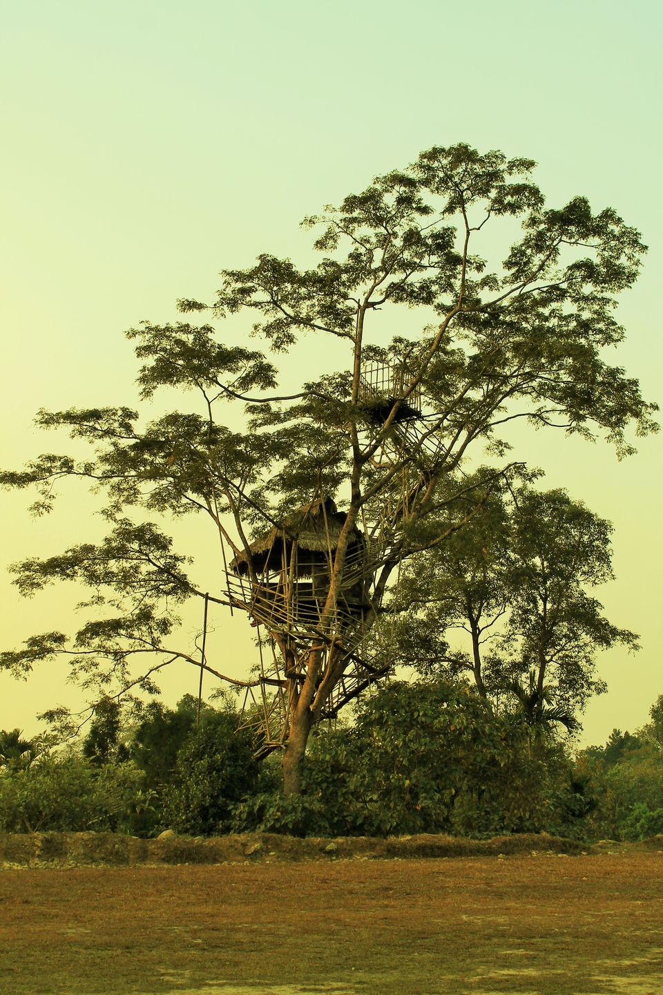 Photo of Meghalaya - Halfway to Heaven 3/22 by Trippin'with Sarathy