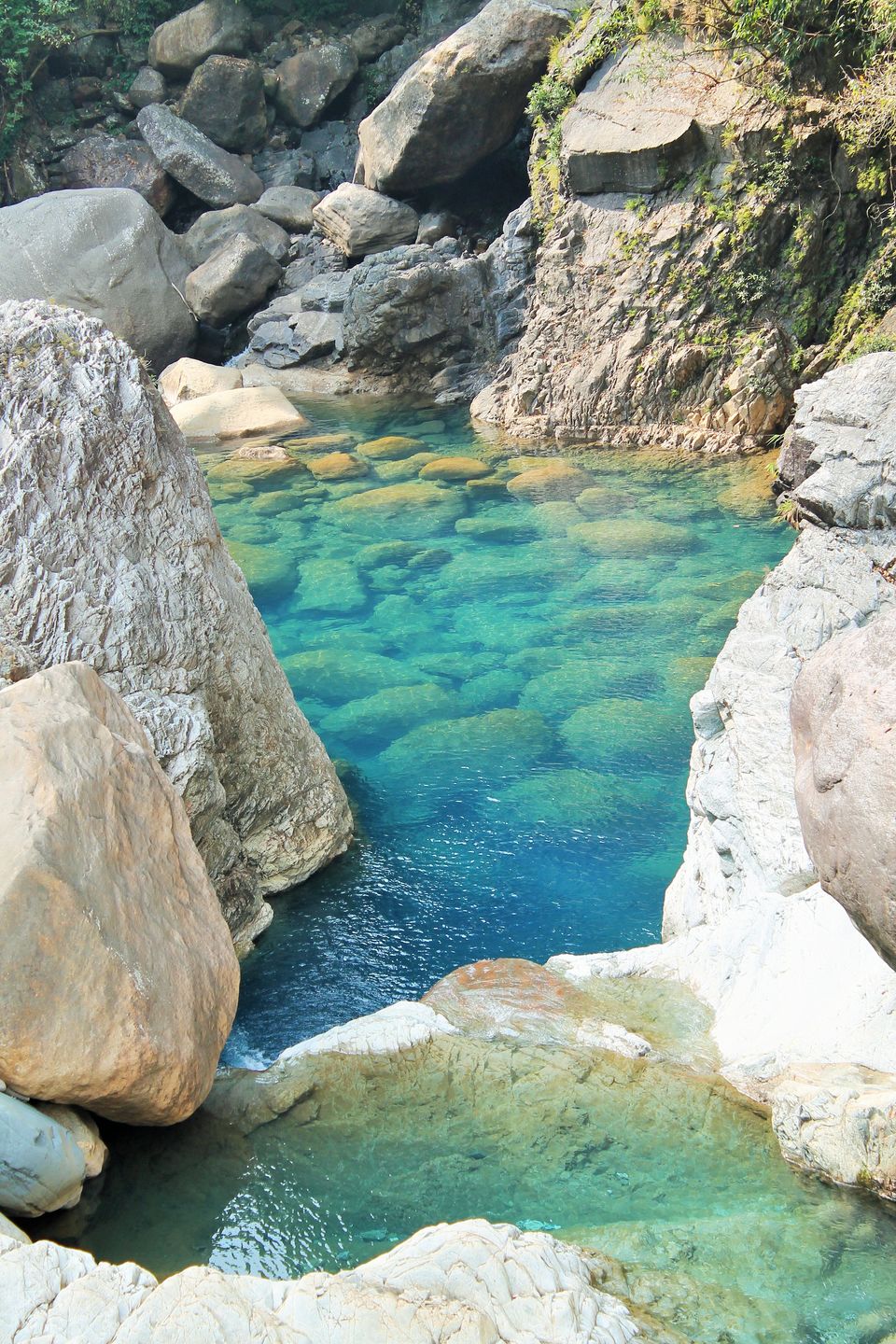 Photo of Meghalaya - Halfway to Heaven 4/22 by Trippin'with Sarathy