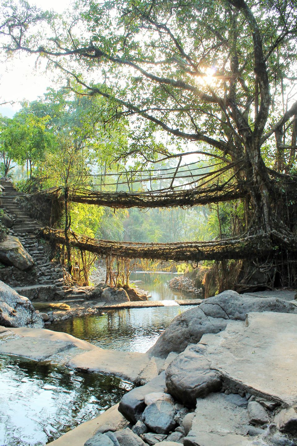 Photo of Meghalaya - Halfway to Heaven 6/22 by Trippin'with Sarathy