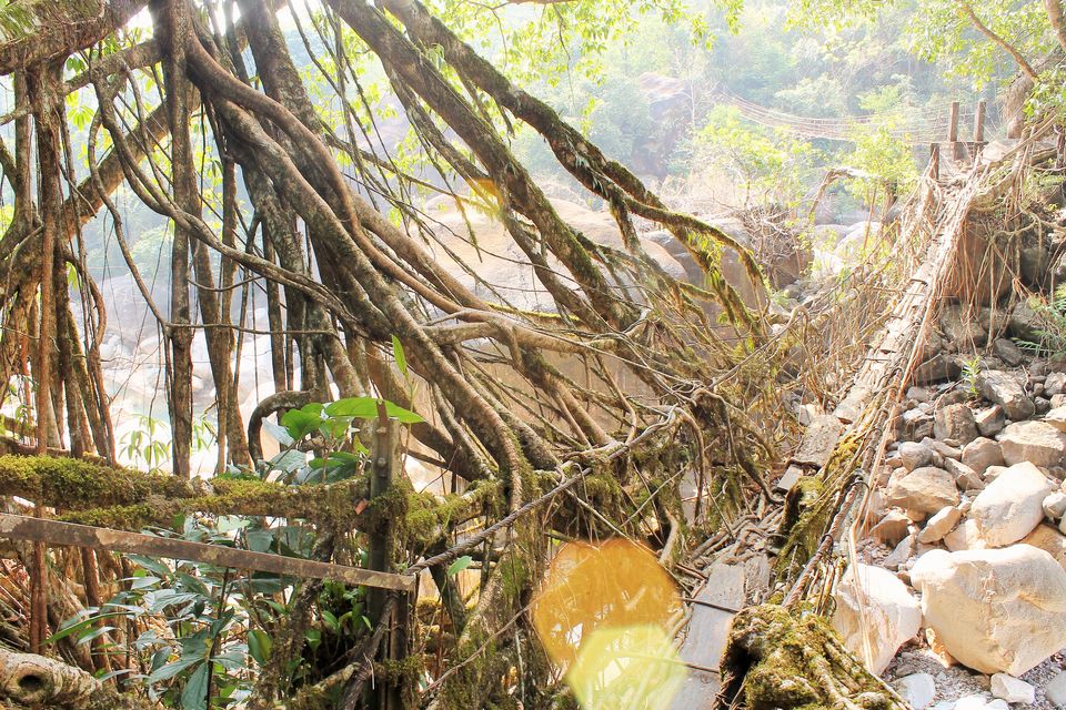 Photo of Meghalaya - Halfway to Heaven 17/22 by Trippin'with Sarathy