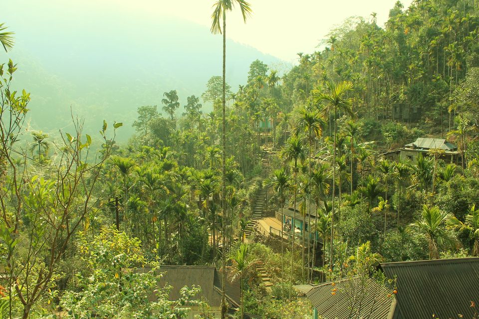 Photo of Meghalaya - Halfway to Heaven 21/22 by Trippin'with Sarathy