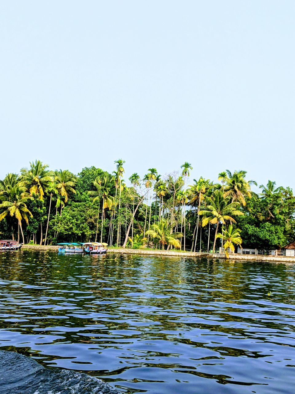 Photo of Story of how i explored the 'Venice Of The East' #Alleppy #BudgetVacation by Anjana Sudev
