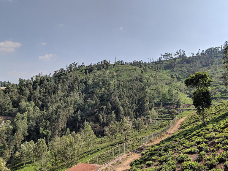 Photo of Kotagiri - One of the best and untouched summer retreats of South India! 1/5 by Anjana Sudev