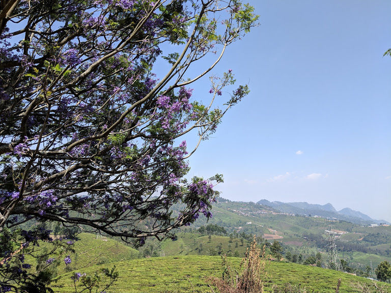 Photo of Kotagiri - One of the best and untouched summer retreats of South India! 3/5 by Anjana Sudev