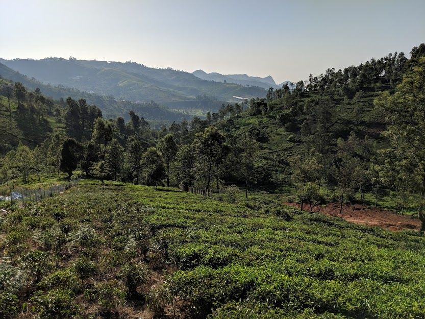 Photo of Kotagiri - One of the best and untouched summer retreats of South India! 5/5 by Anjana Sudev